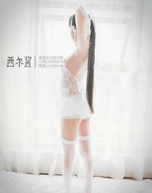 失落的大陆电影在线观看免费国语_BT磁力天堂日韩在线观看